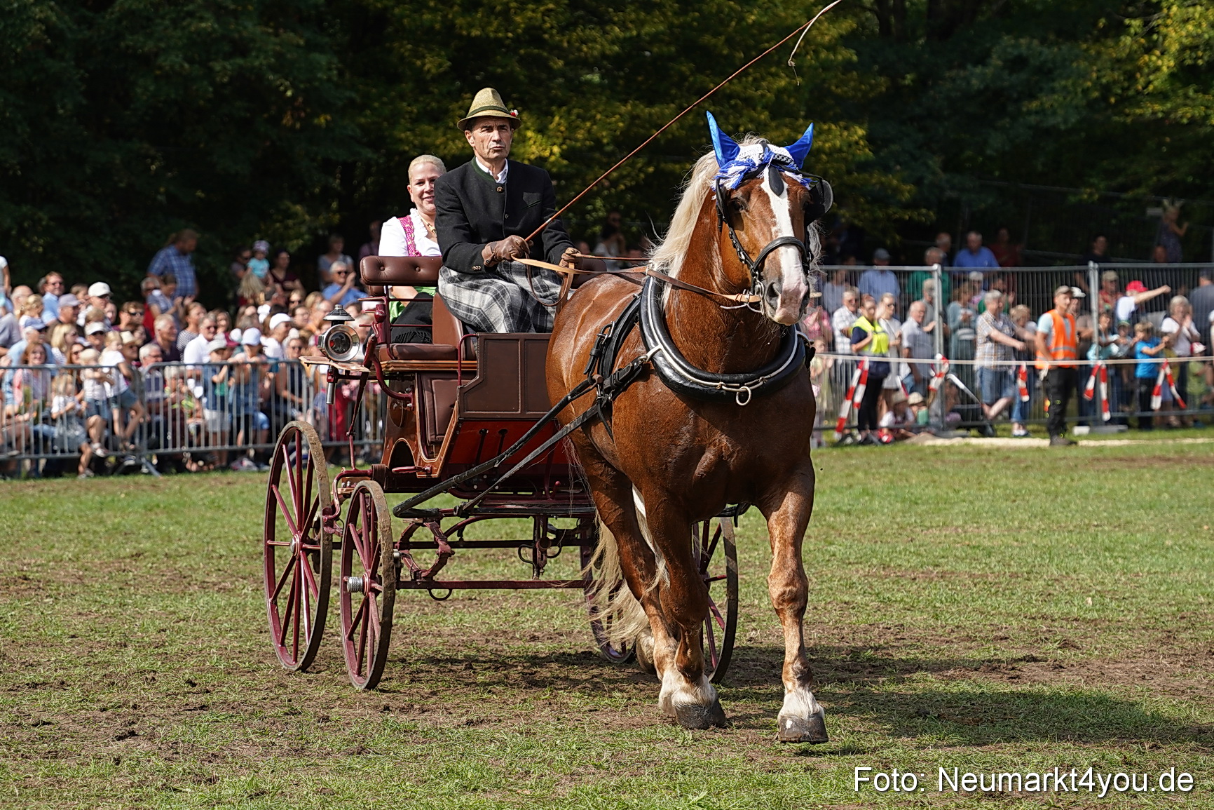 Pferde und Fohlenschau 2022 0247 